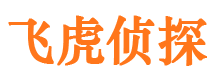 九江市侦探调查公司